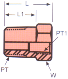 Stainless Steel Adapters, Male NPT To Female NPT, Bushing