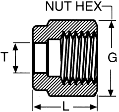 Stainless Steel Duolok Nuts