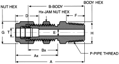 Stainless Steel Duolok Tube Fittings, Tube To Male NPT, Straight Bulkhead