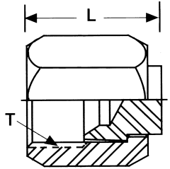 Stainless Steel Male JIC 37 deg Flare Caps