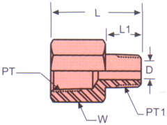 Stainless Steel Adapters, Male NPT To Female NPT, Bushing