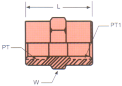 Stainless Steel Adapters, Female NPT To Female NPT, Straight